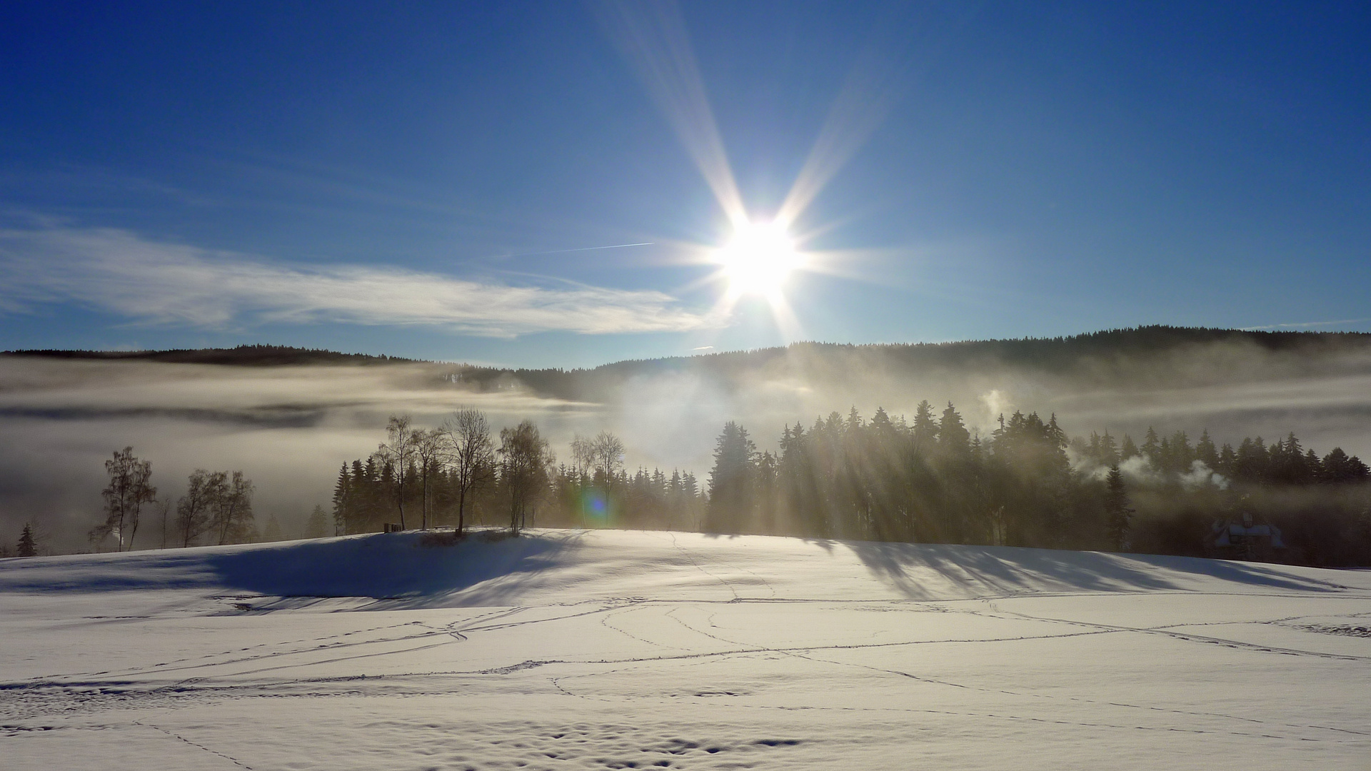 Morgennebel