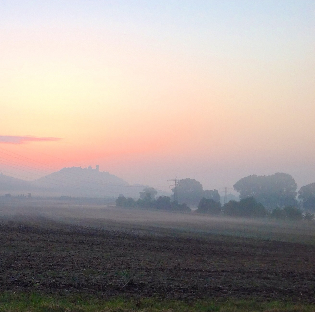 Morgennebel