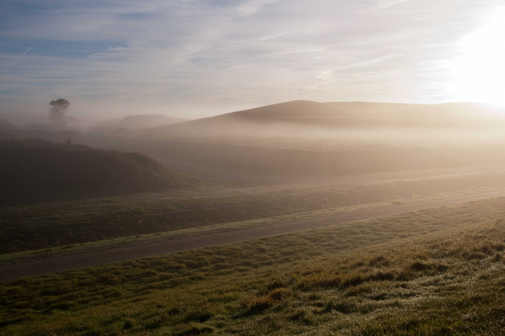 Morgennebel 1