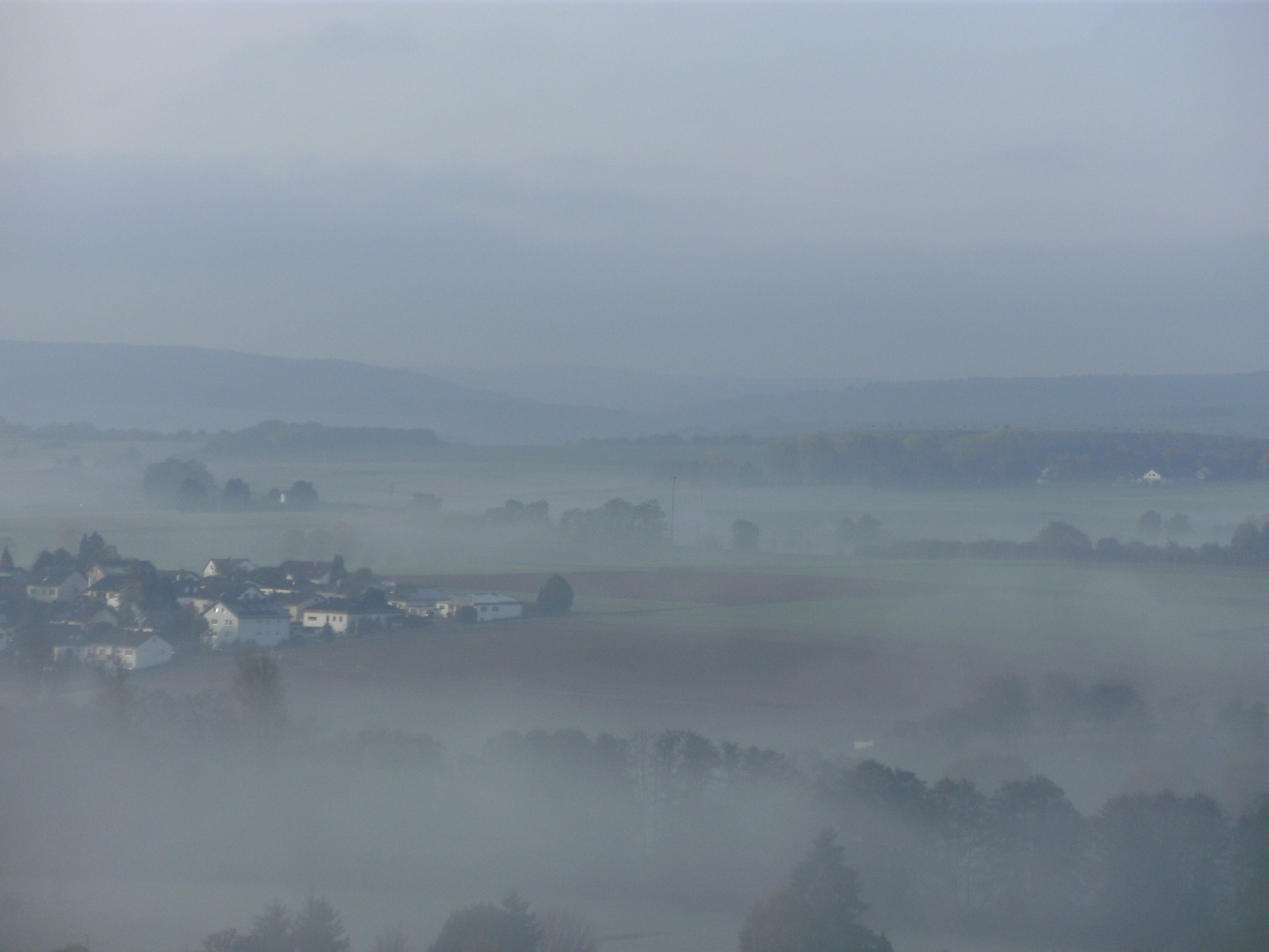 Morgennebel 1