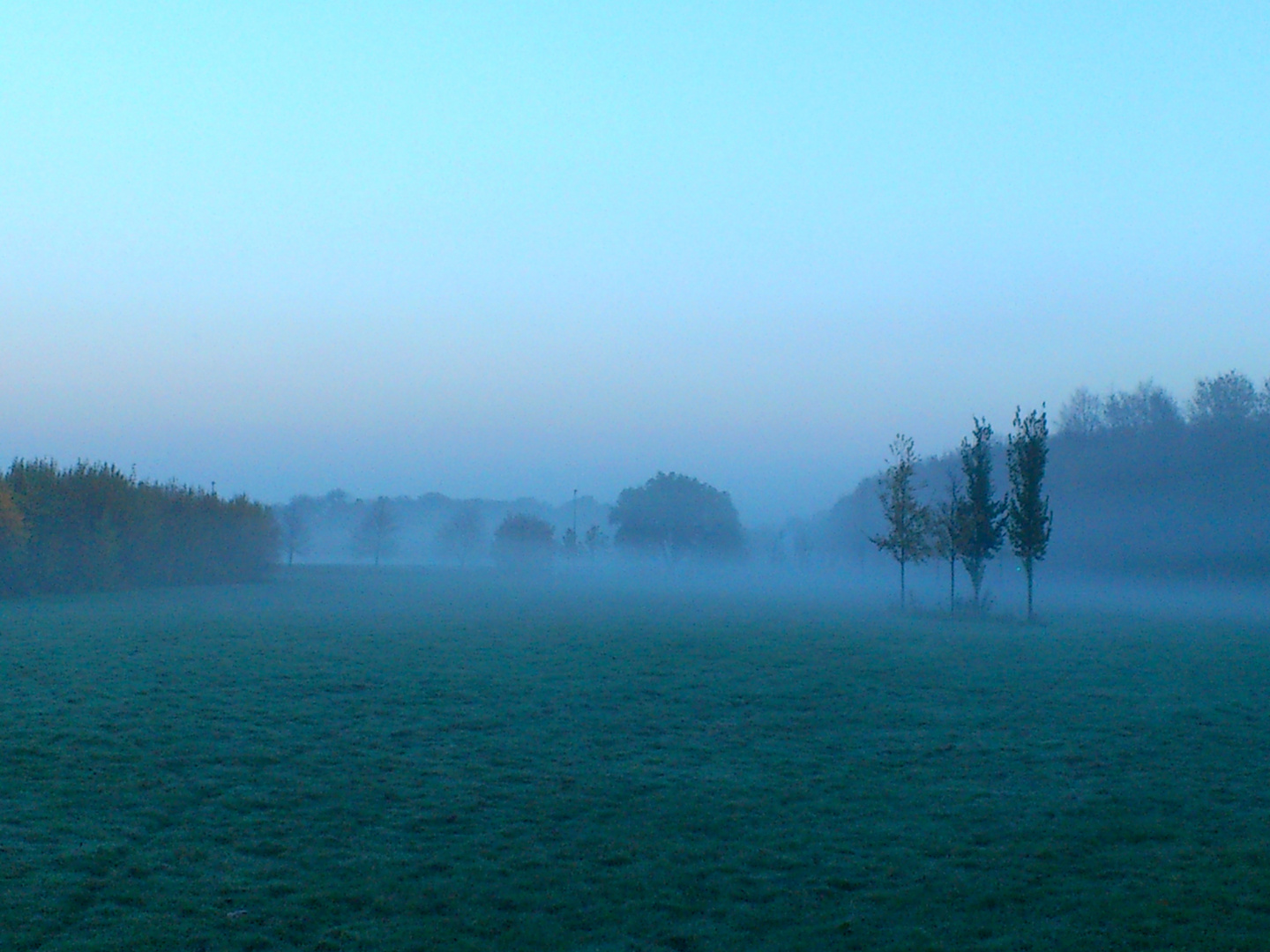 MORGENNEBEL 1