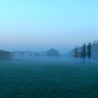 MORGENNEBEL 1