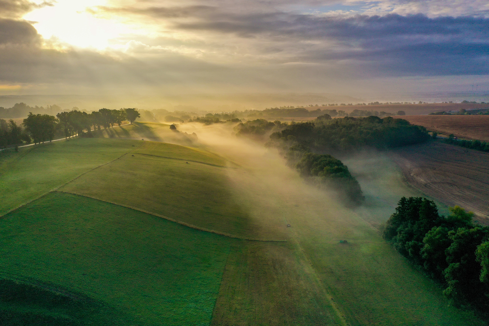 Morgennebel