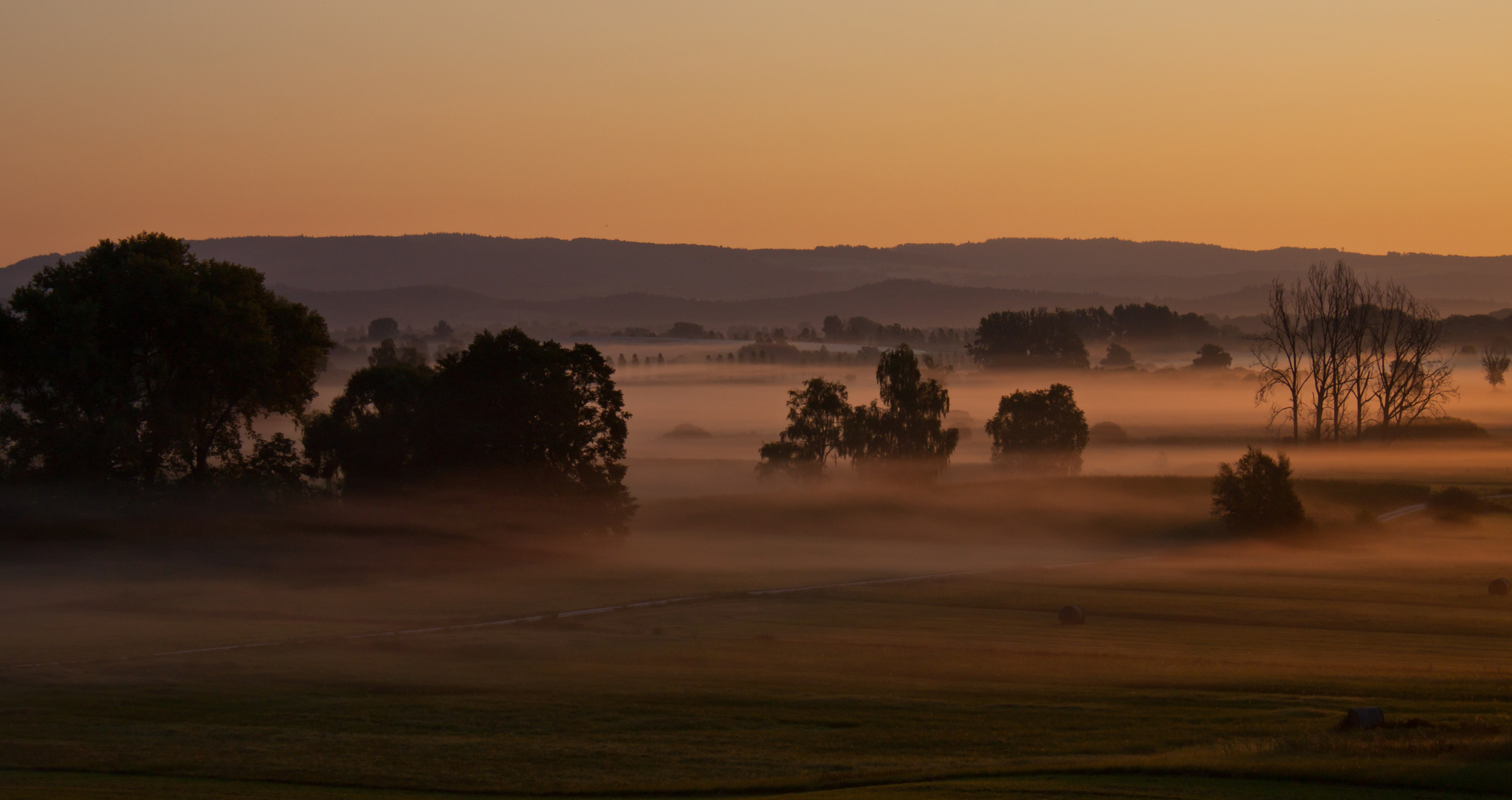 Morgennebel