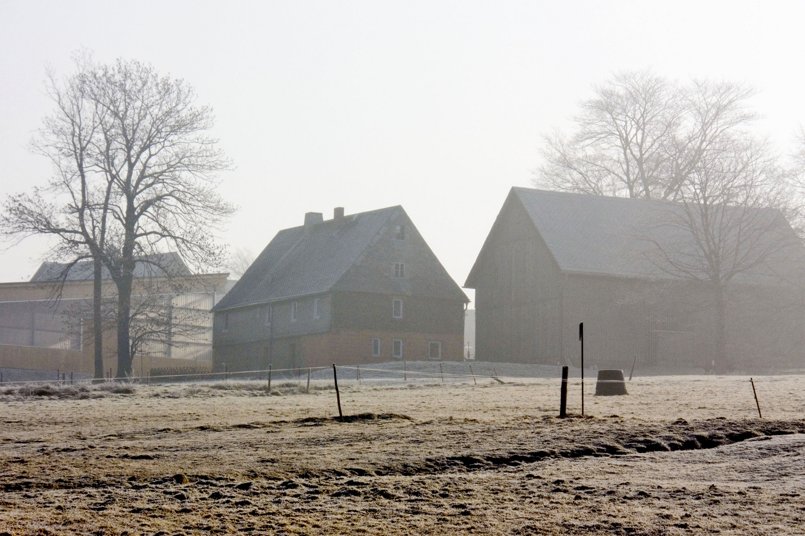 Morgennebel