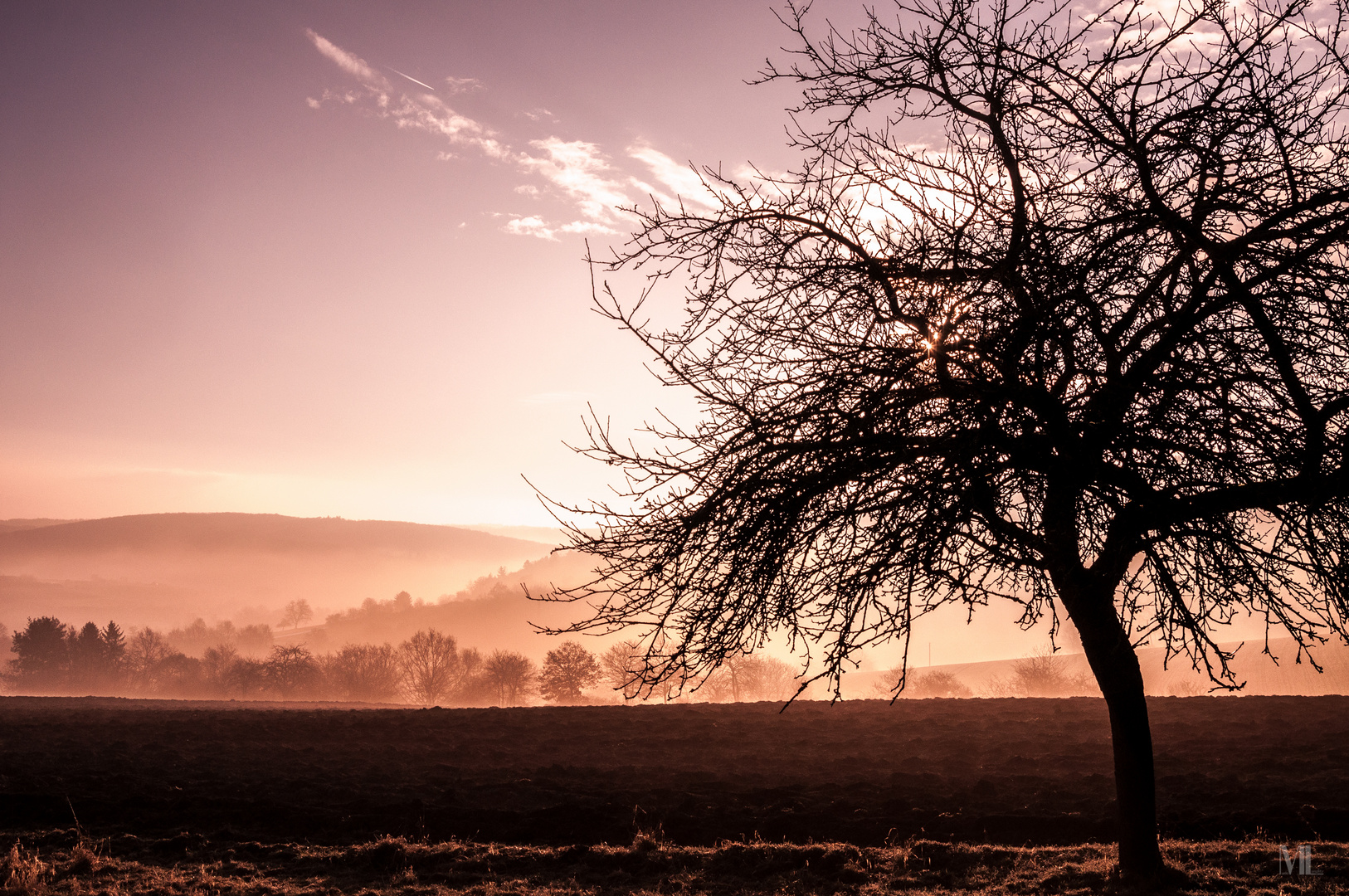 Morgennebel