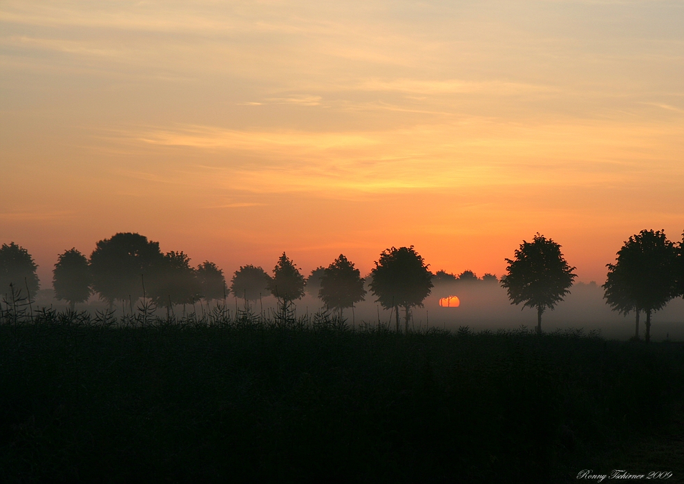 Morgennebel