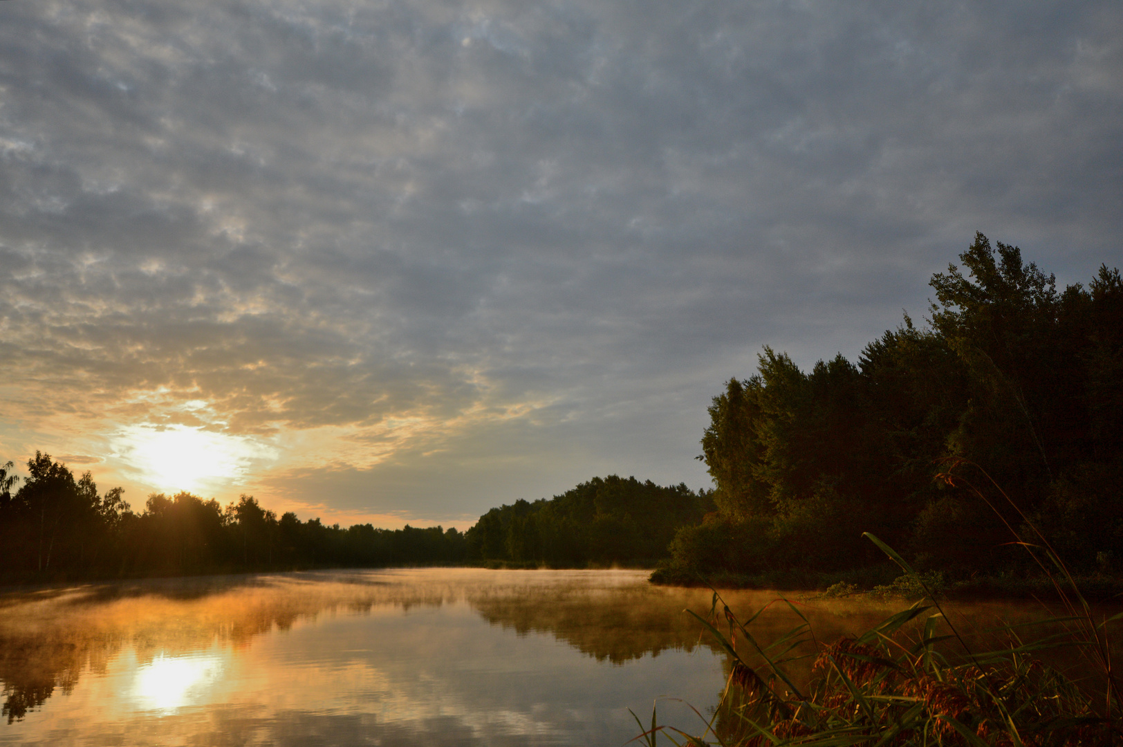 Morgennebel