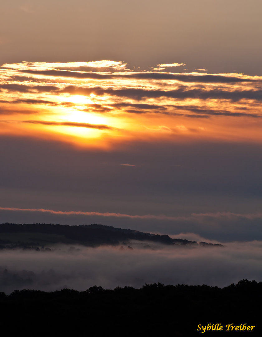 Morgennebel