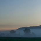 Morgennebel