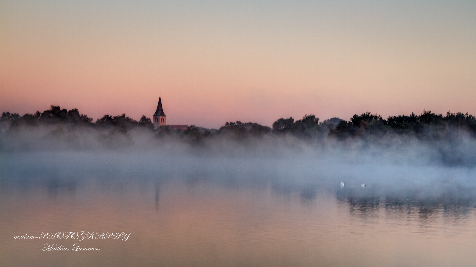 Morgennebel