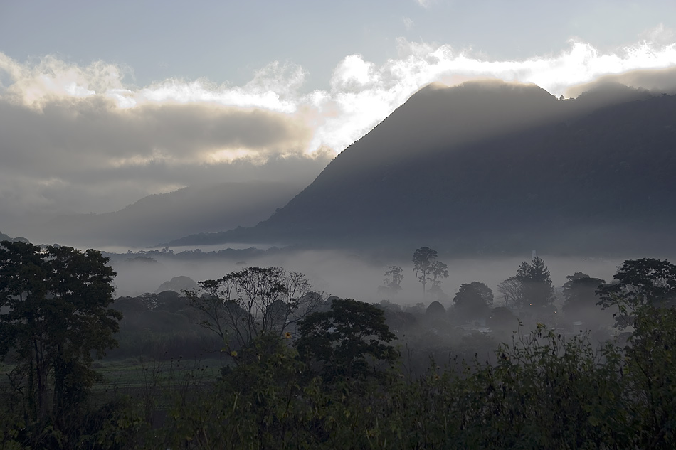 Morgennebel