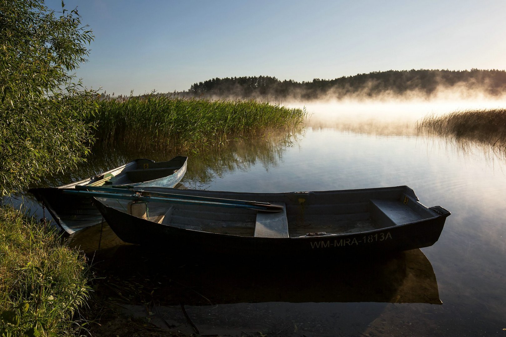 Morgennebel