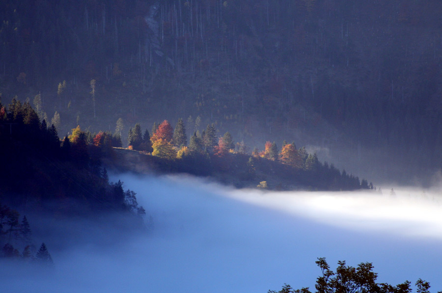 Morgennebel