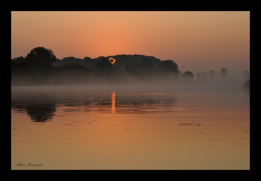 Morgennebel