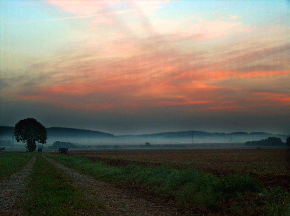 Morgennebel