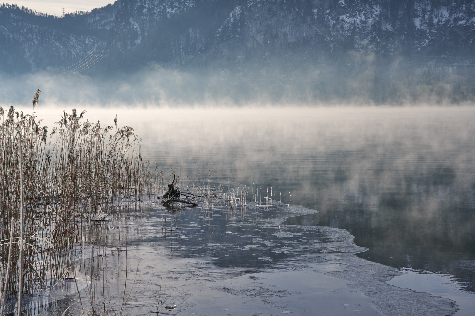 Morgennebel