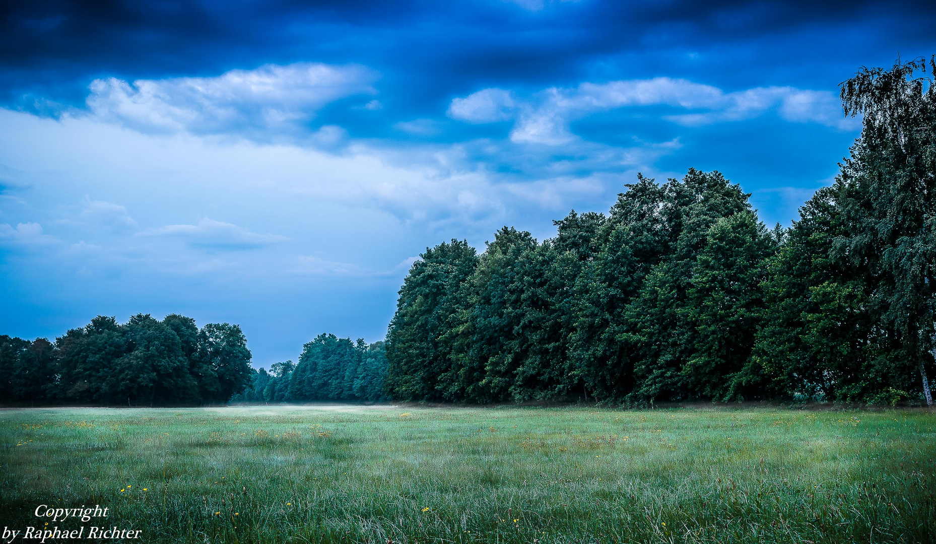 Morgennebel