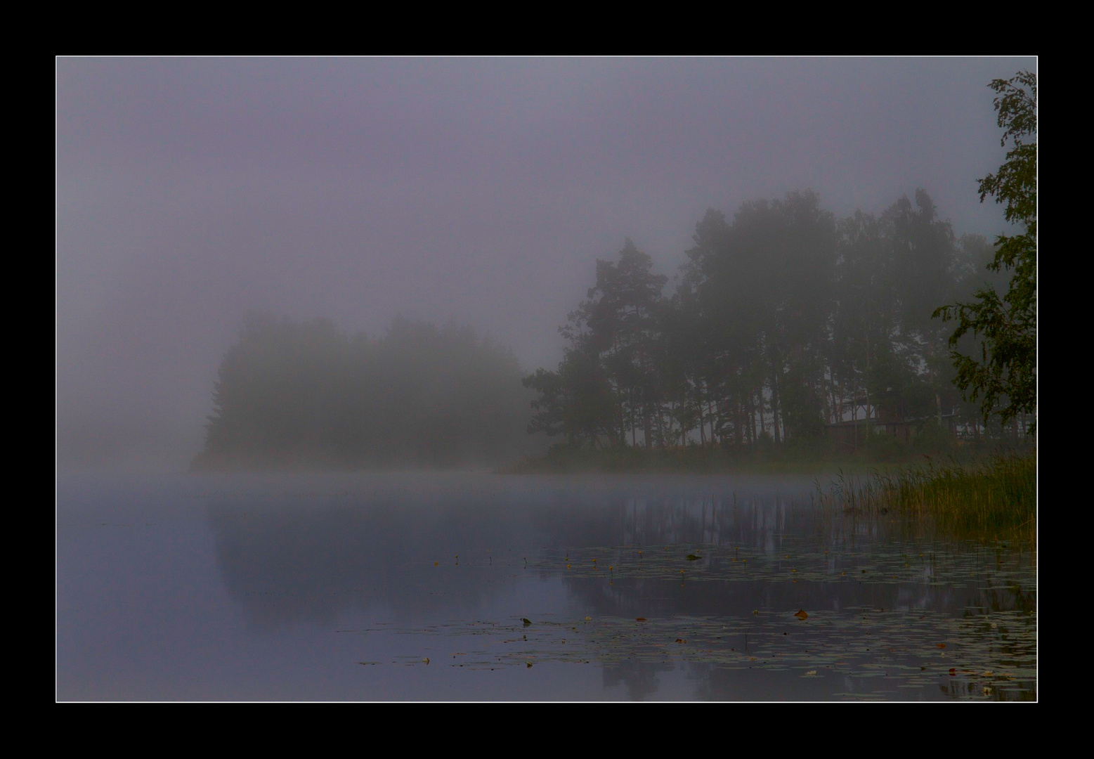 Morgennebel