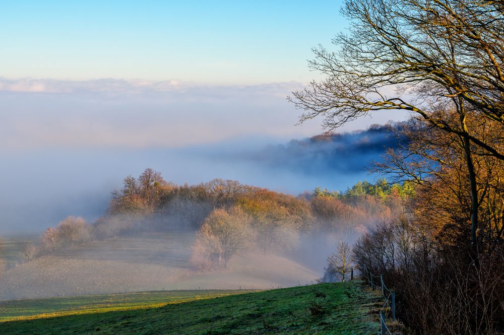 Morgennebel