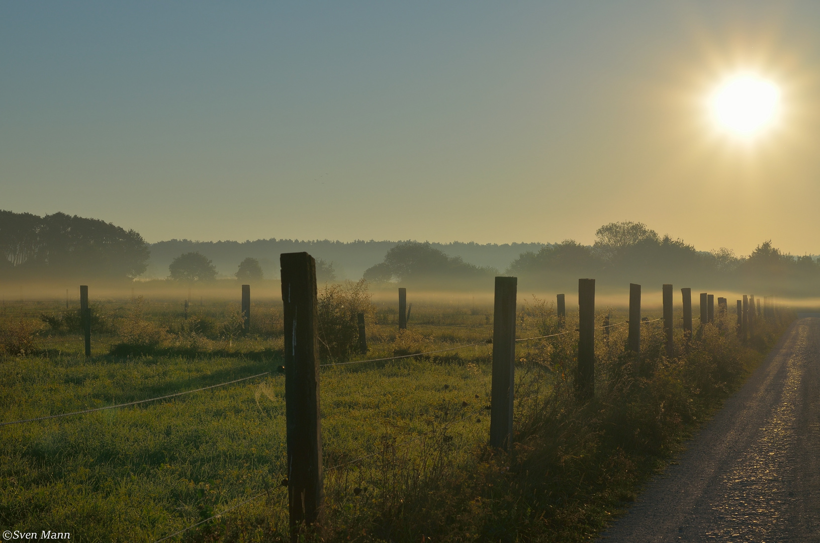 Morgennebel