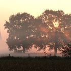 Morgennebel