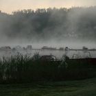 Morgennebel 2