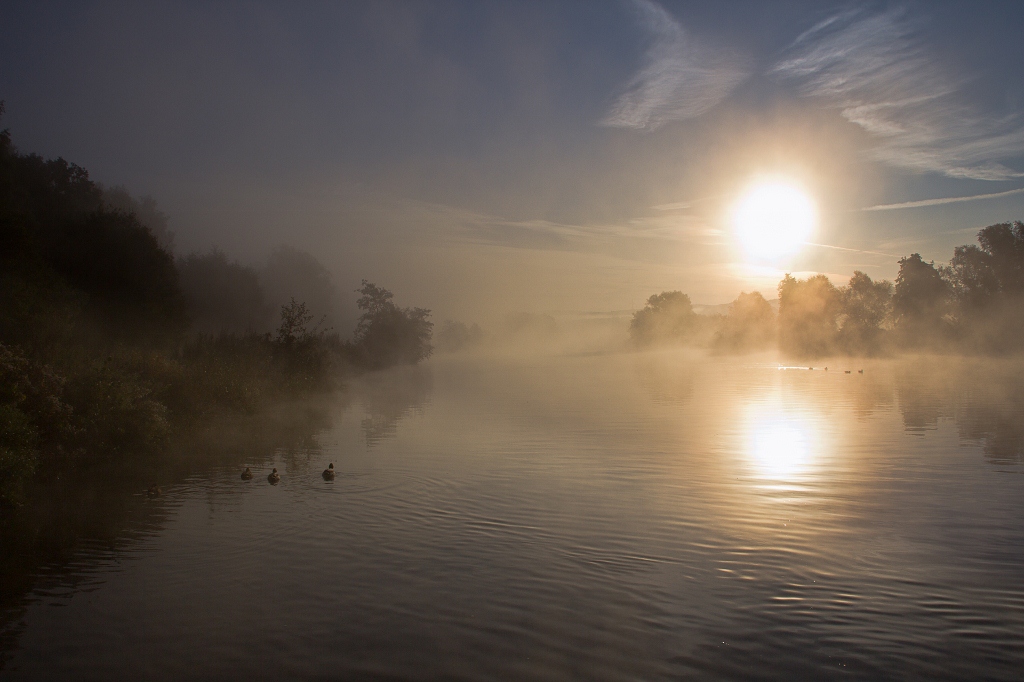 Morgennebel 2