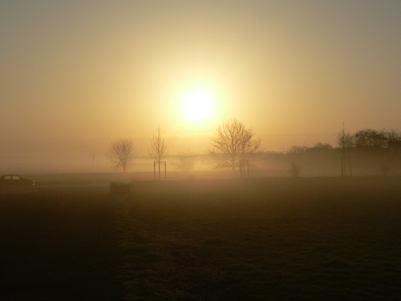 Morgennebel-2