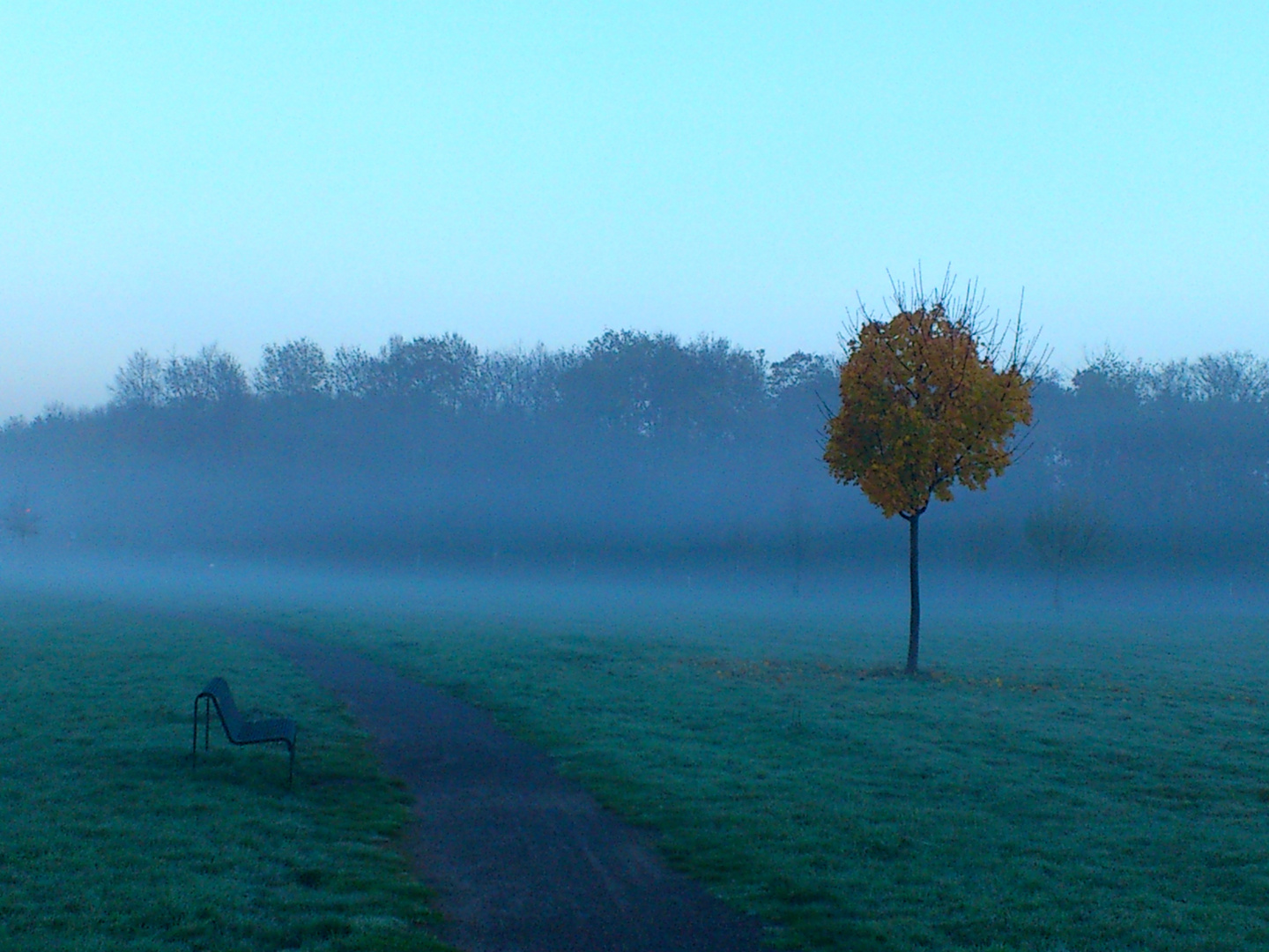 MORGENNEBEL 2