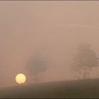 Morgennebel 2