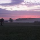 Morgennebel 2