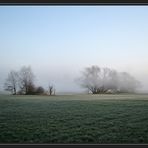 Morgennebel 2