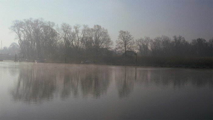 Morgennebel 2