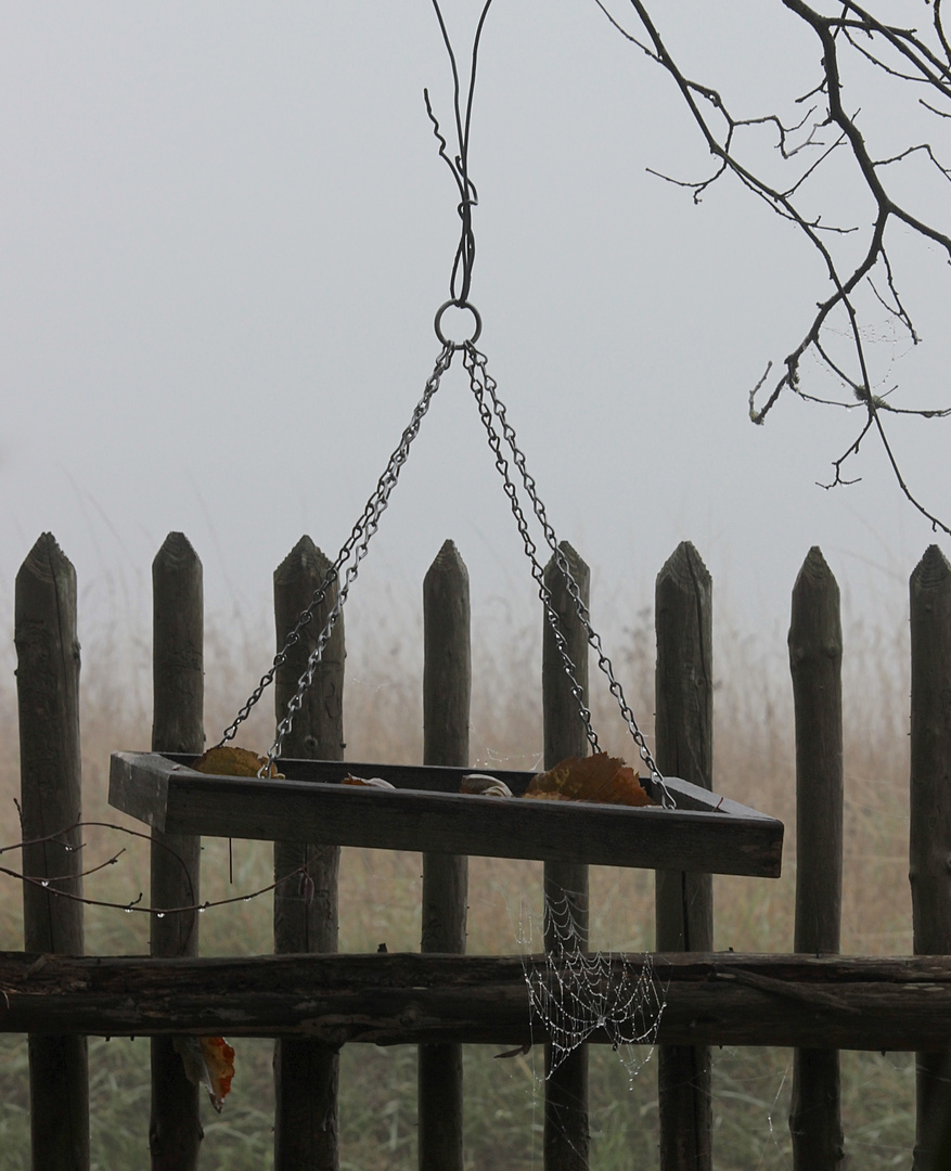 MORGENNEBEL 2 - Denkt jetzt an die Winterfütterung der Vögel!