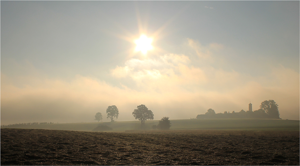 Morgennebel