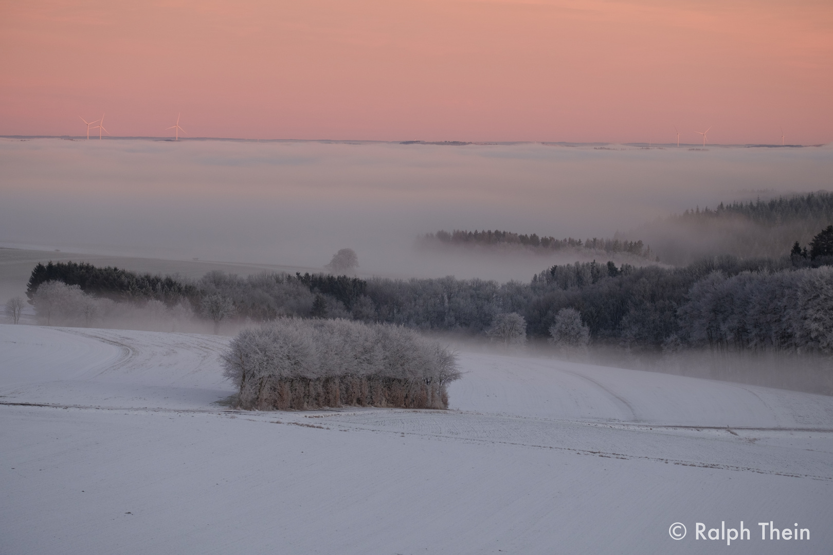 Morgennebel