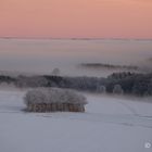 Morgennebel