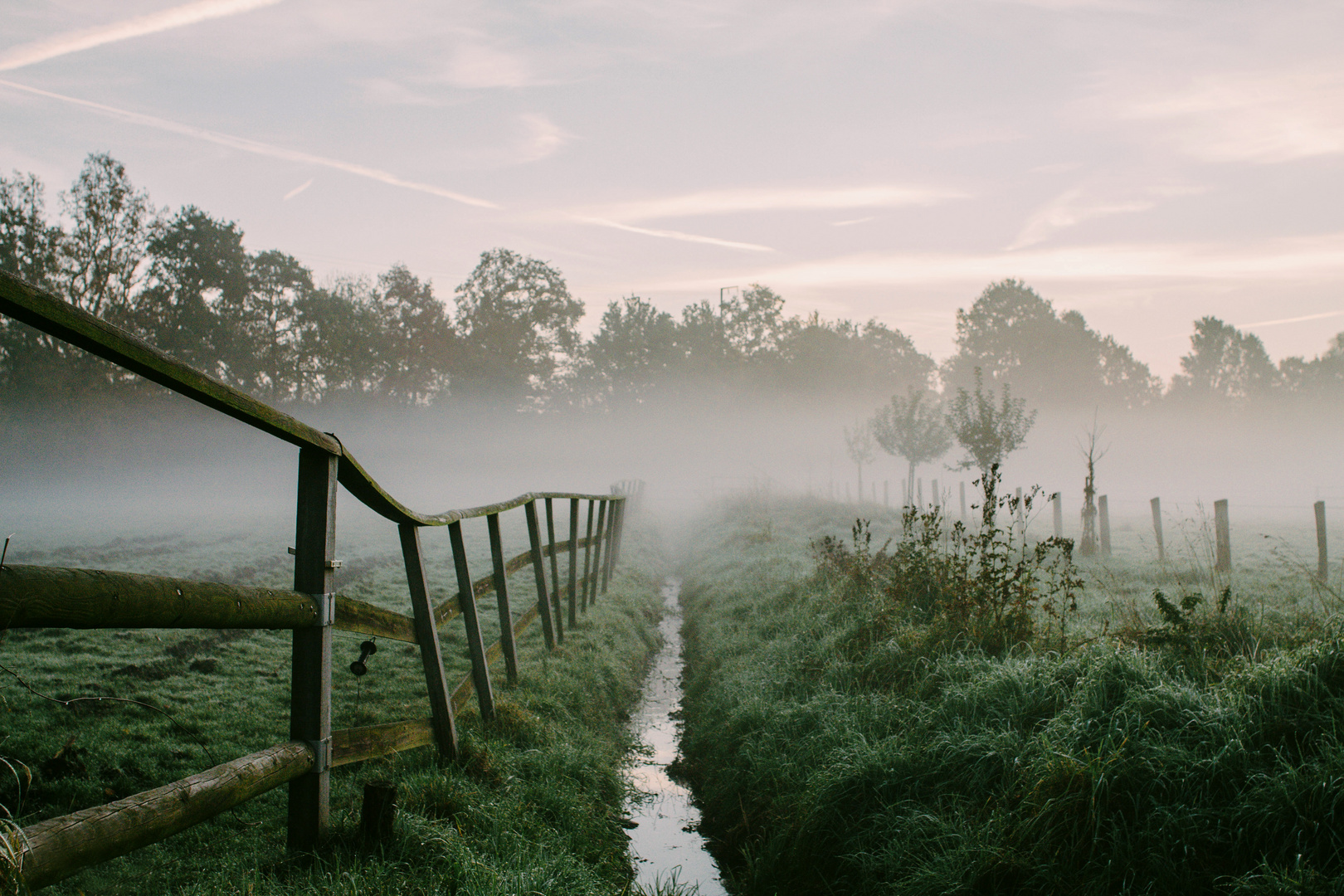 Morgennebel