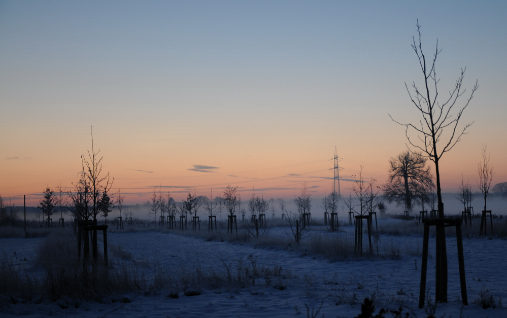 Morgennebel