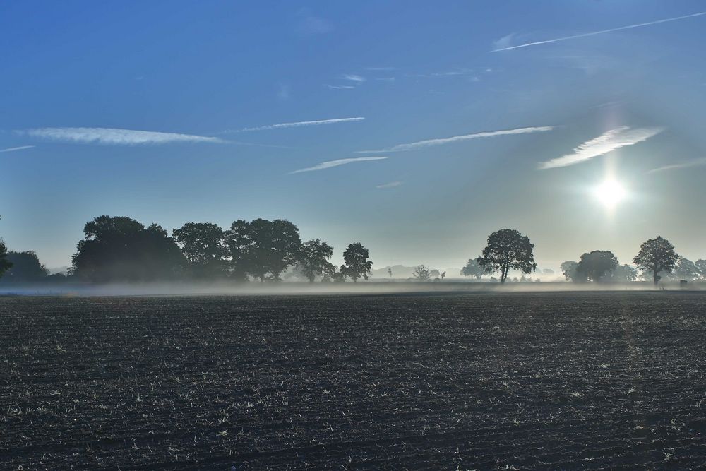 Morgennebel