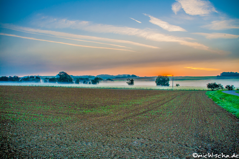 Morgennebel