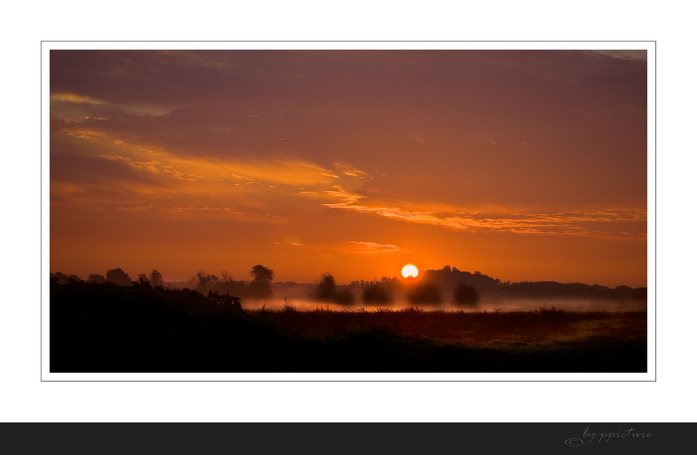 Morgennebel