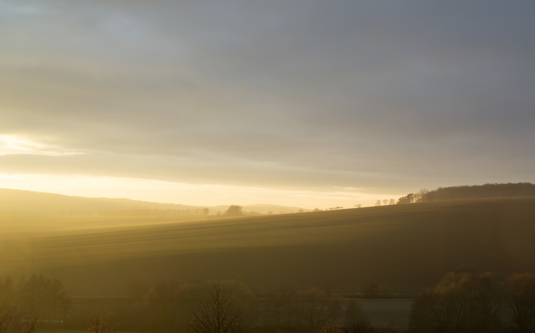 Morgennebel