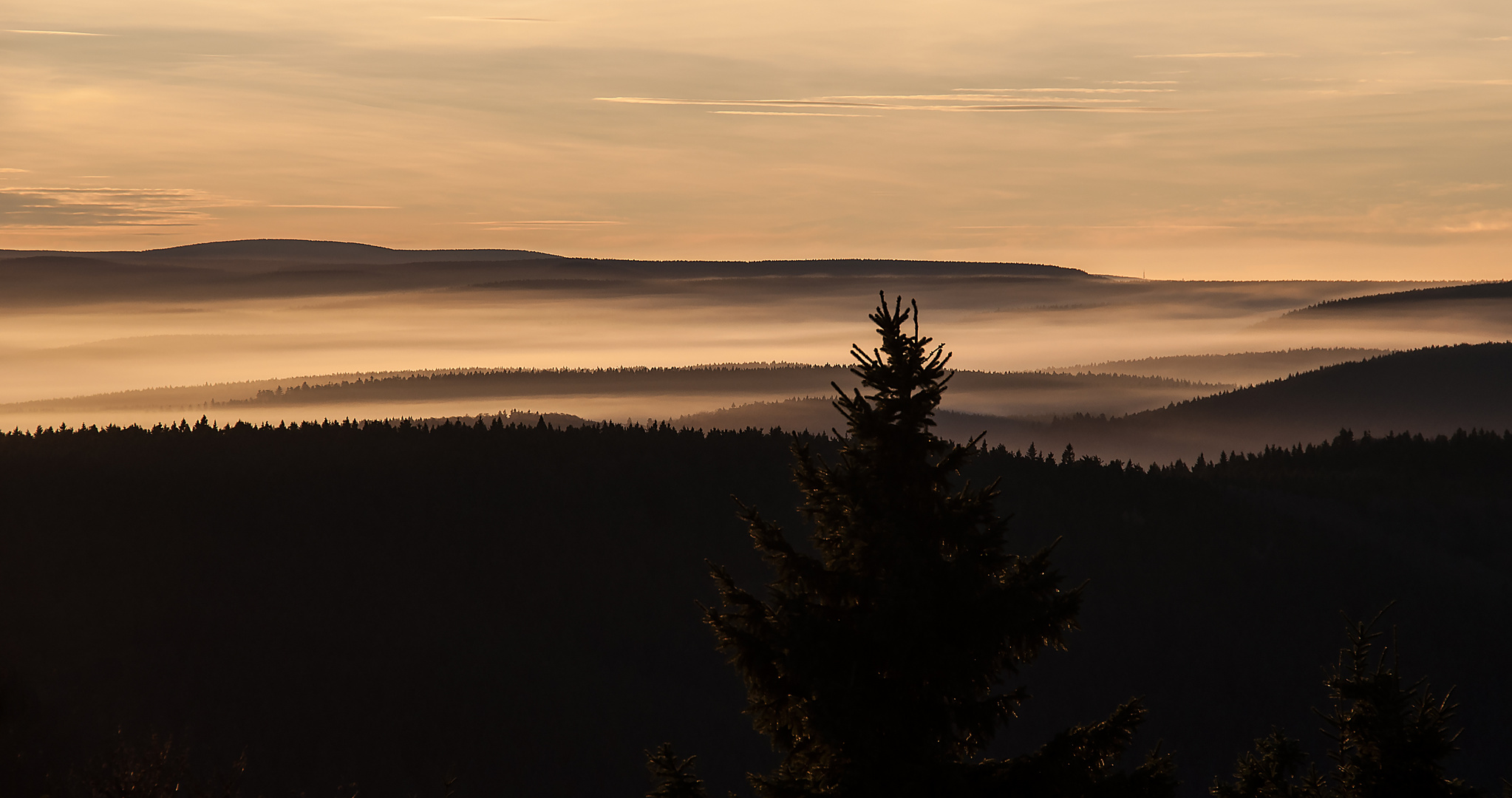 Morgennebel