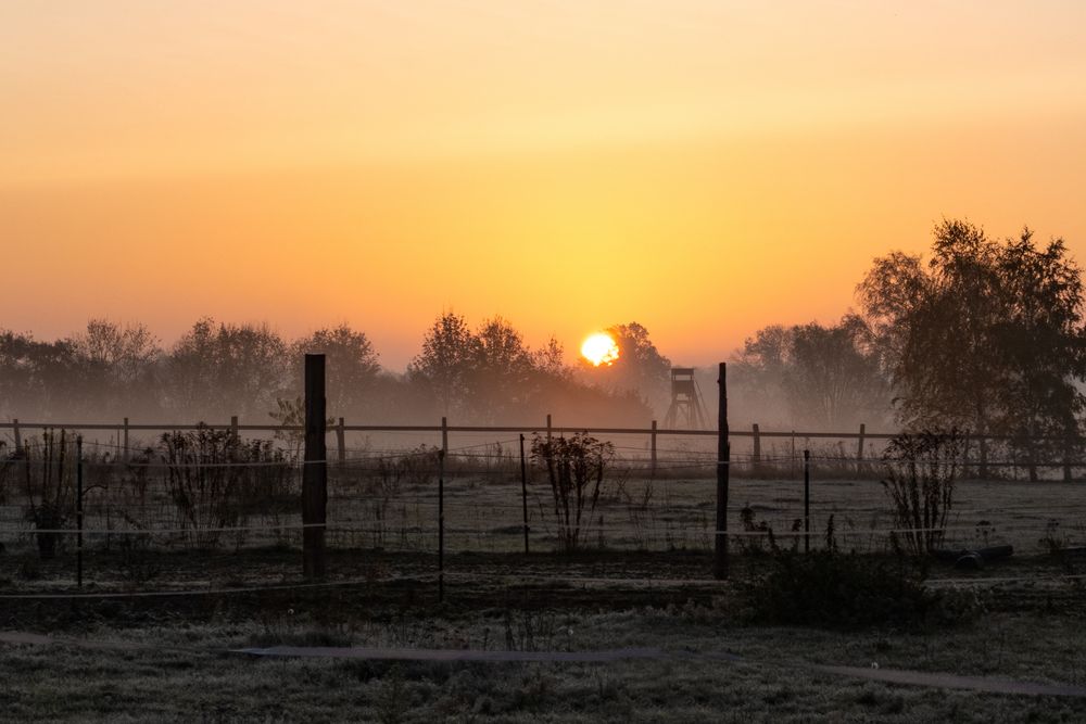 Morgennebel