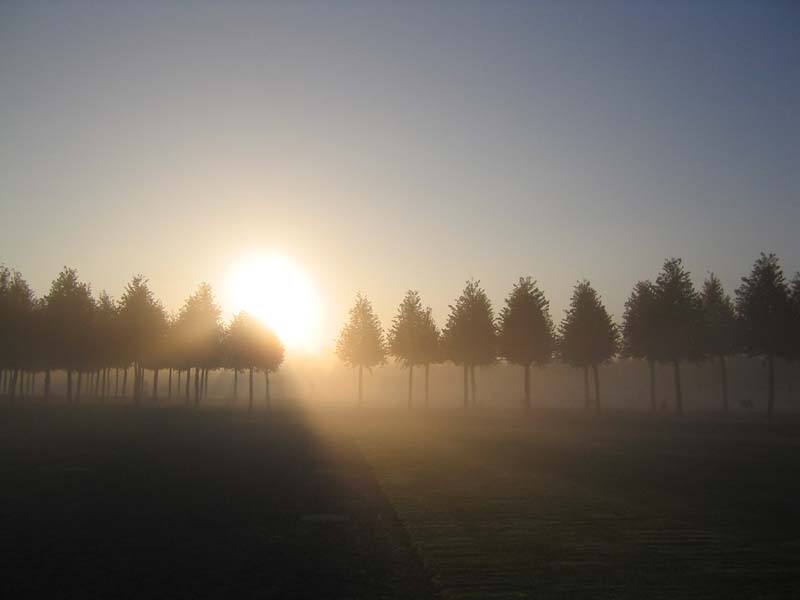 Morgennebel