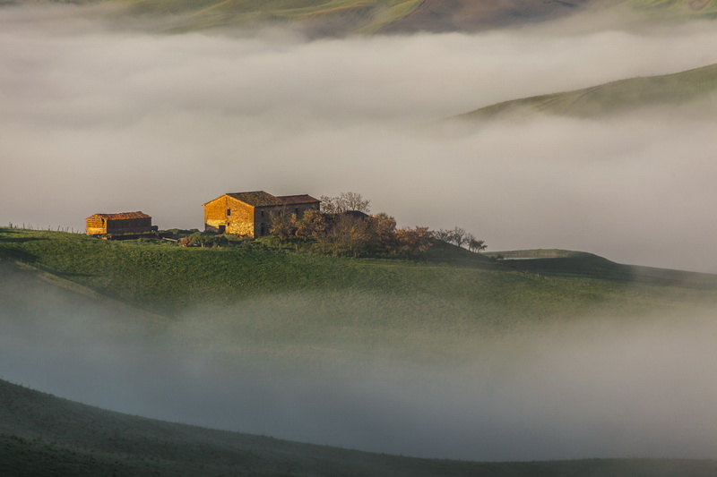 Morgennebel