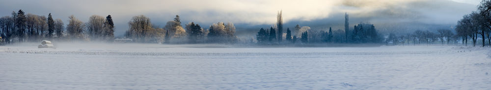 Morgennebel