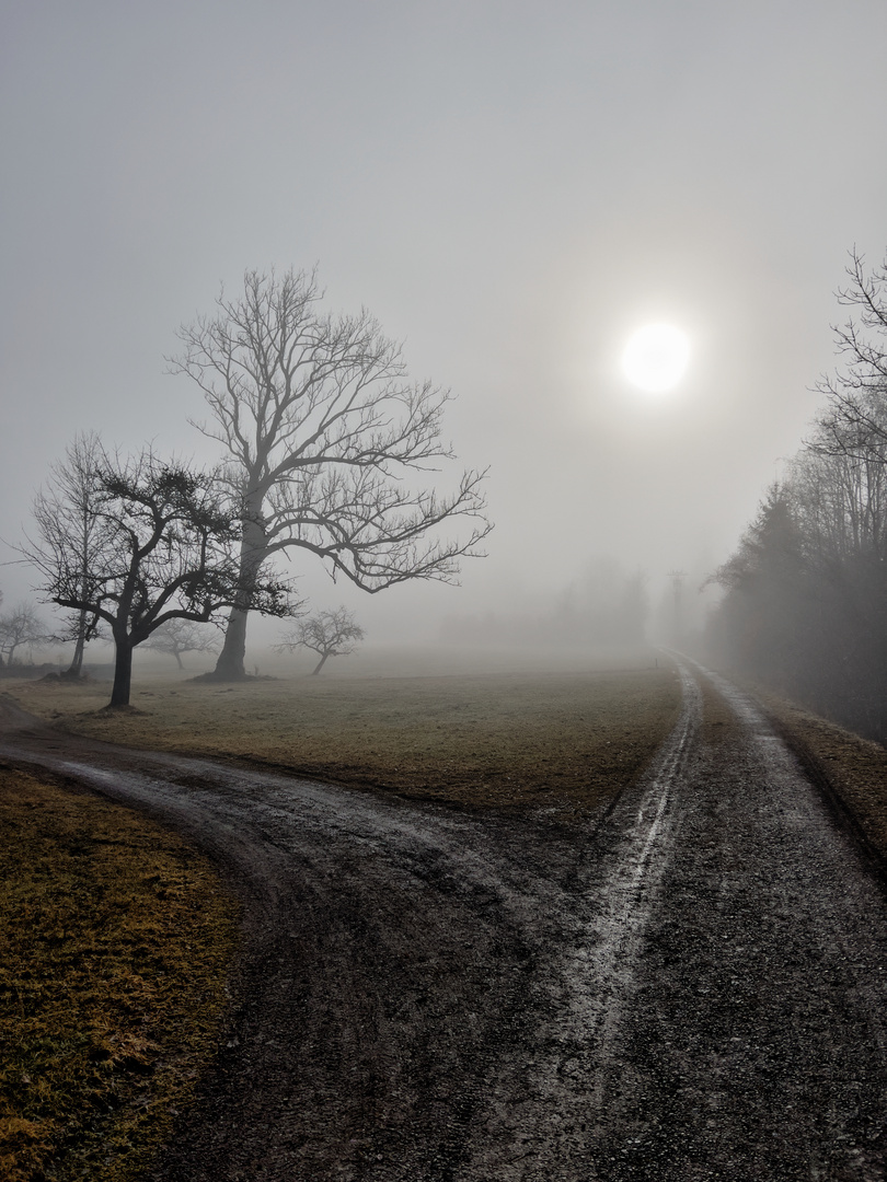 Morgennebel